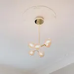 Appartamento Homely - Center, Modern, Historical, Near Park *
